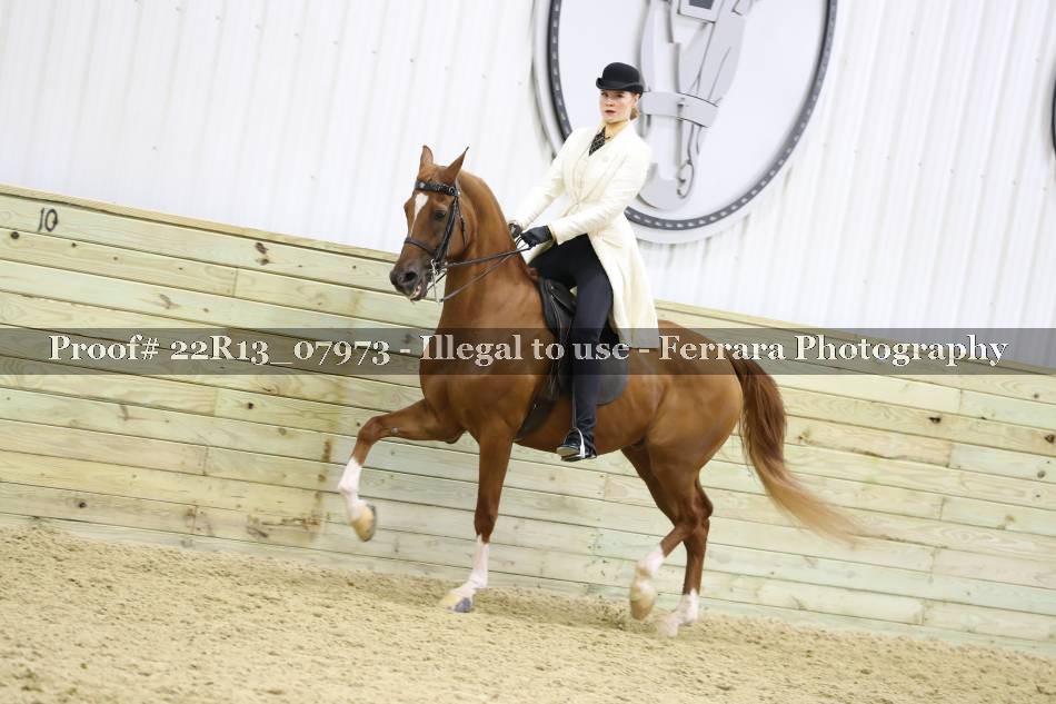Proof 22R13_07973