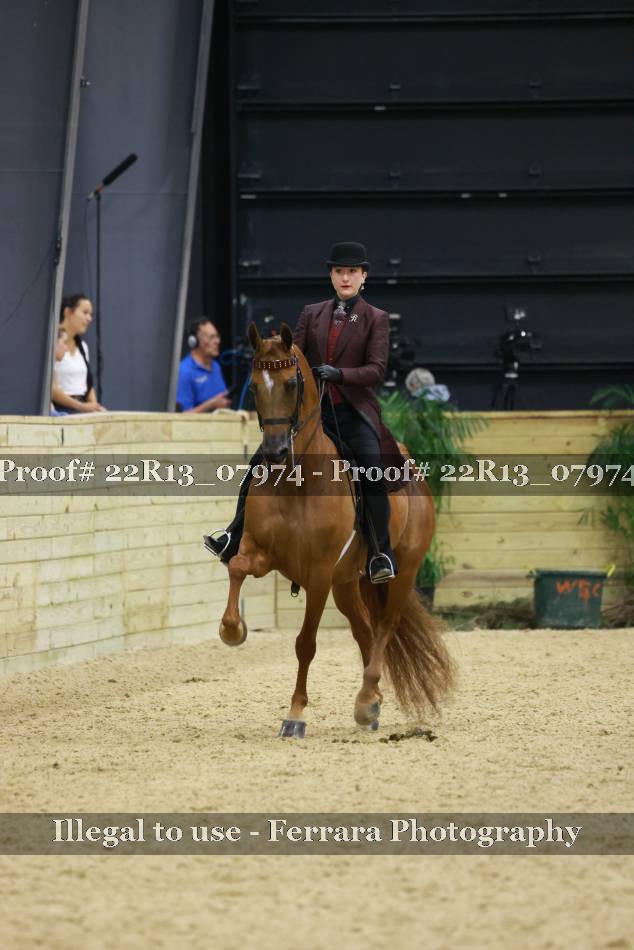 Proof 22R13_07974