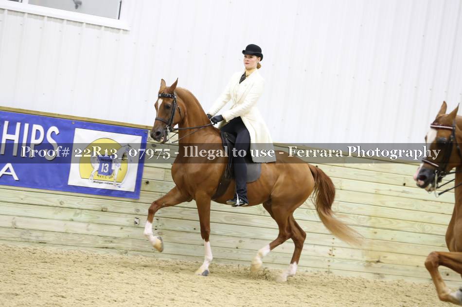 Proof 22R13_07975