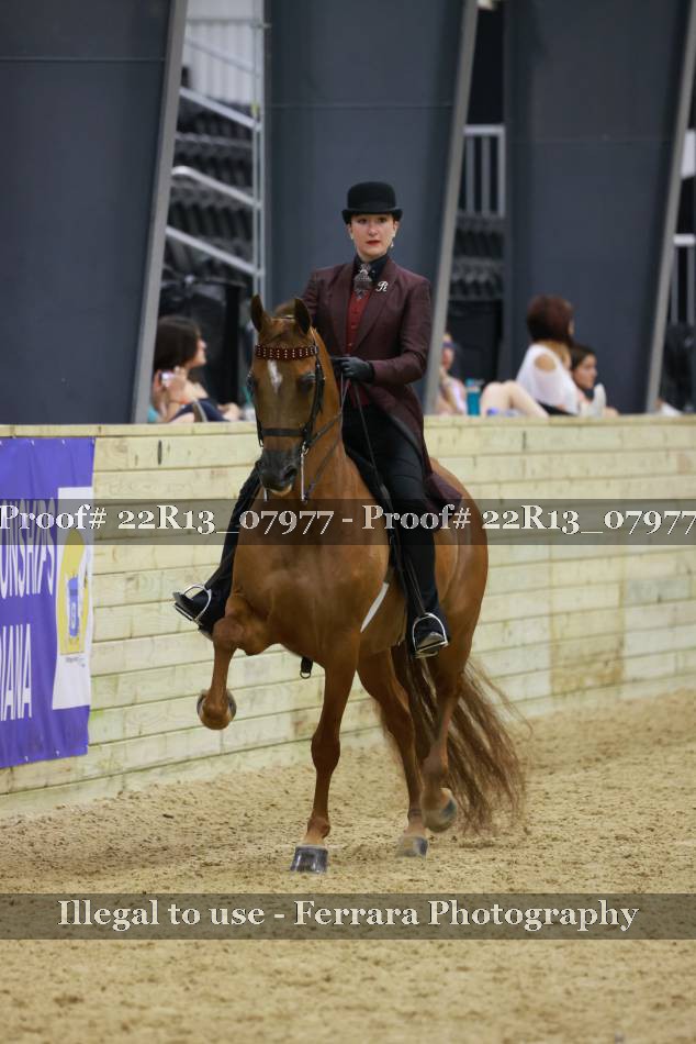 Proof 22R13_07977