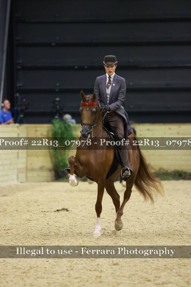 Proof 22R13_07978