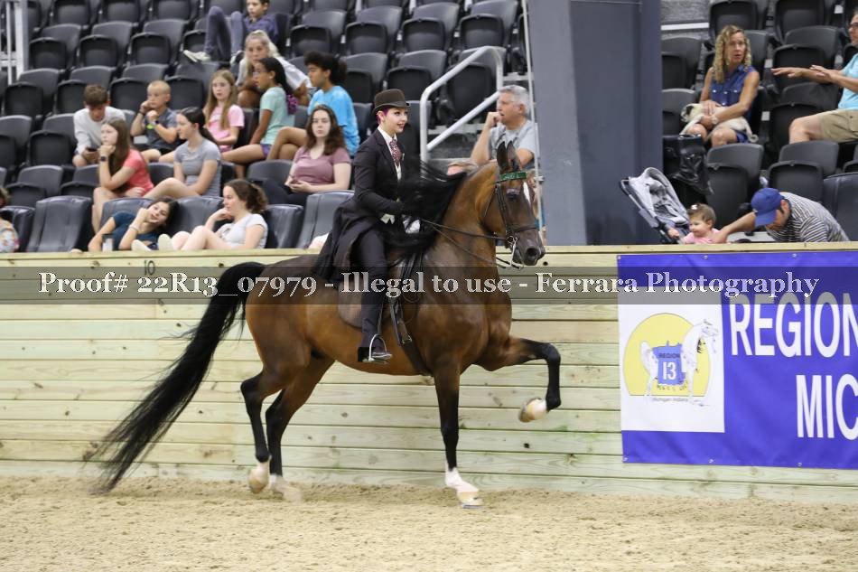 Proof 22R13_07979