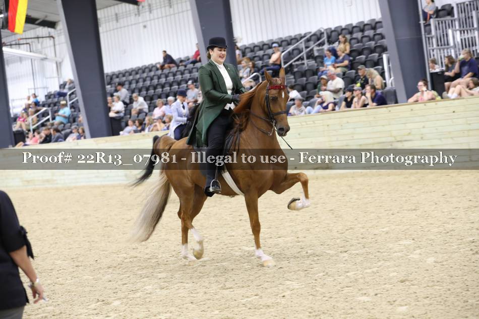 Proof 22R13_07981