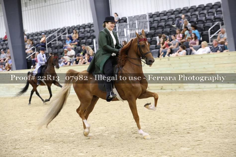 Proof 22R13_07982