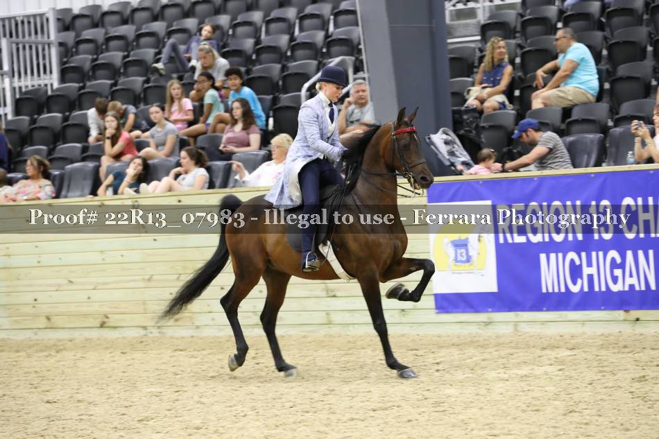 Proof 22R13_07983