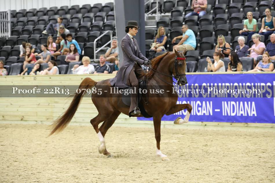 Proof 22R13_07985