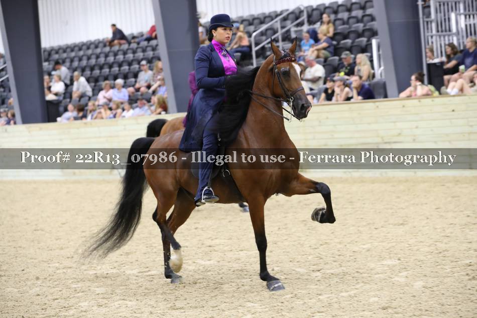 Proof 22R13_07986