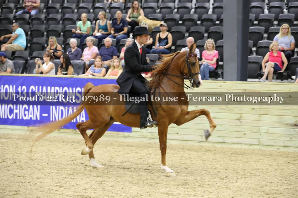 Proof 22R13_07989