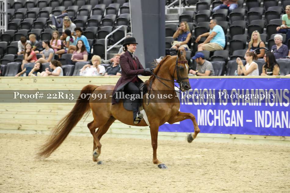 Proof 22R13_07991