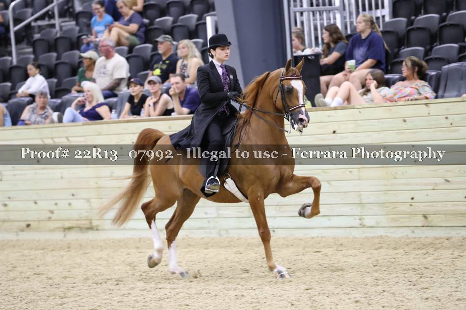 Proof 22R13_07992