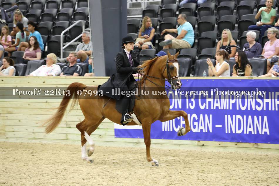 Proof 22R13_07993