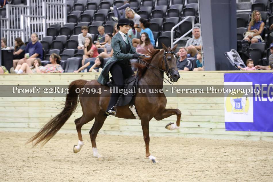 Proof 22R13_07994