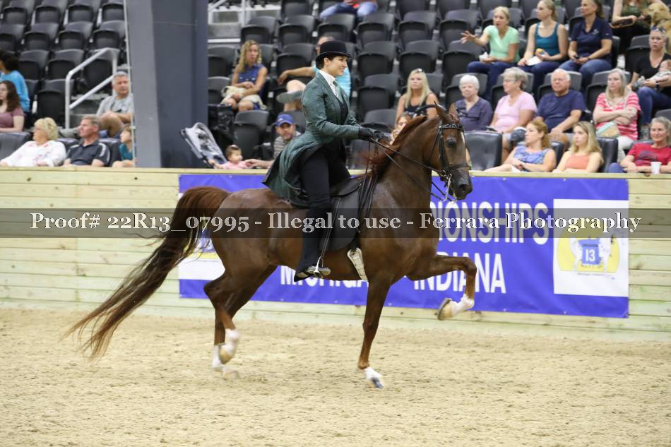 Proof 22R13_07995