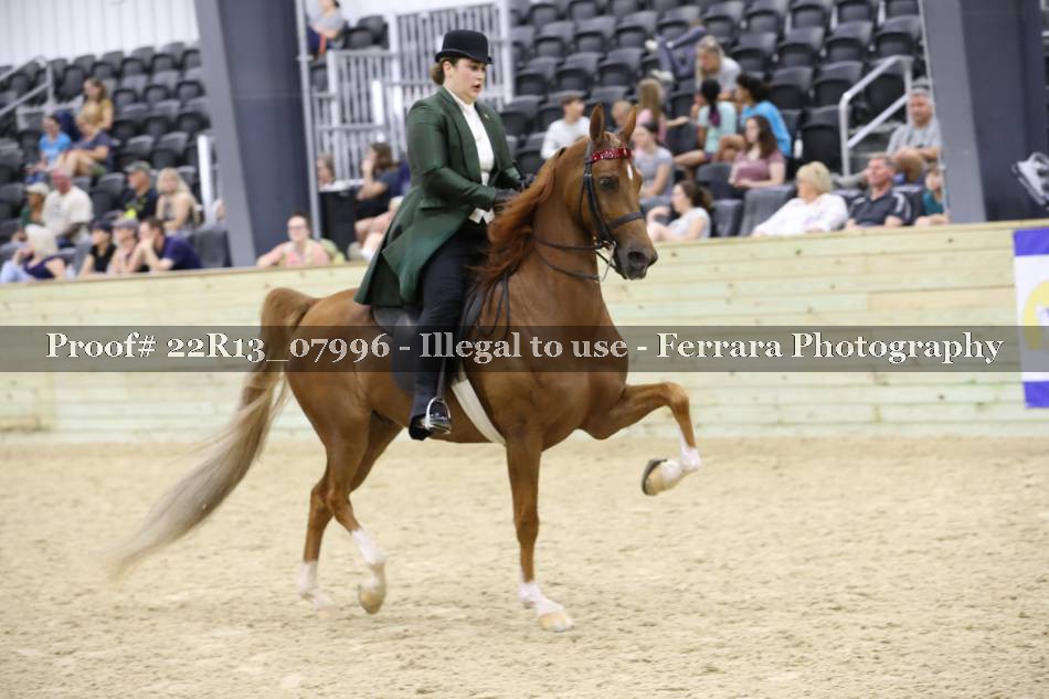 Proof 22R13_07996