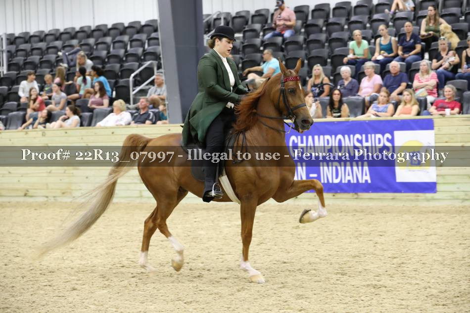 Proof 22R13_07997