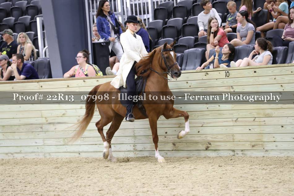 Proof 22R13_07998