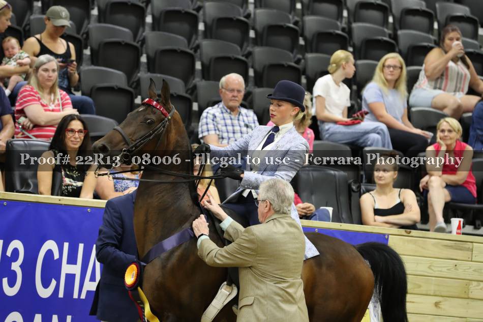 Proof 22R13_08006