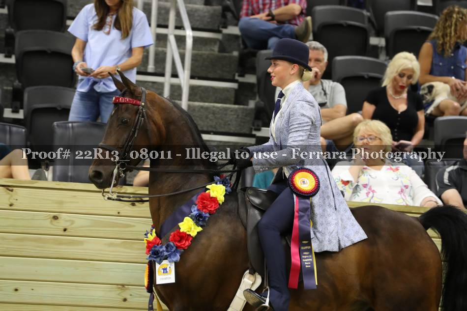 Proof 22R13_08011