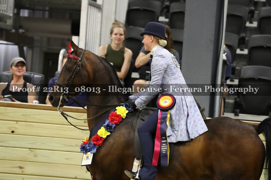 Proof 22R13_08013