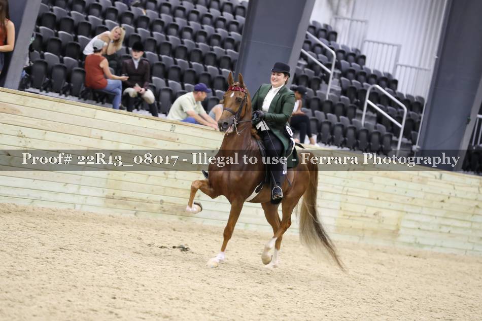 Proof 22R13_08017