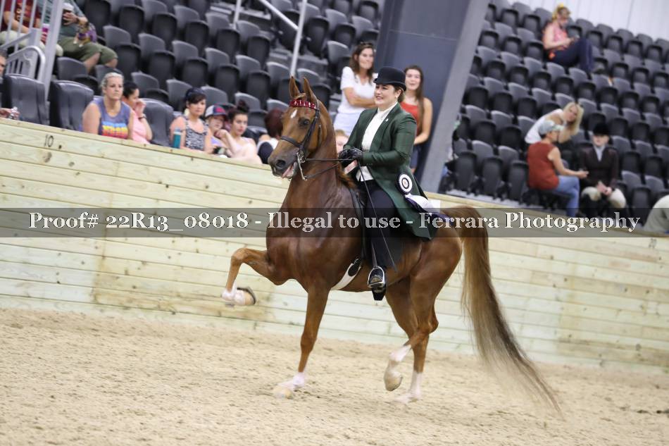 Proof 22R13_08018