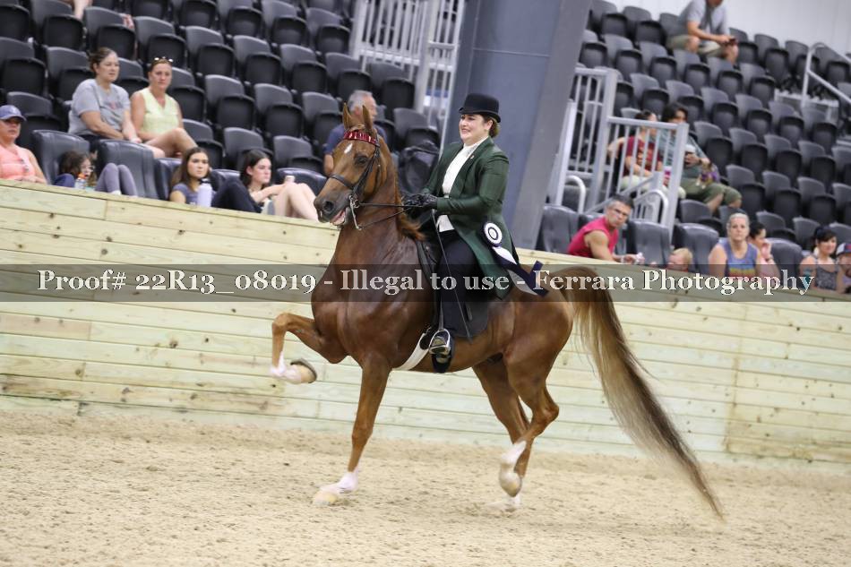 Proof 22R13_08019