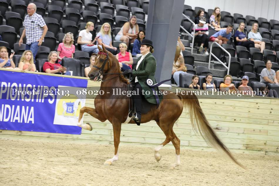 Proof 22R13_08020