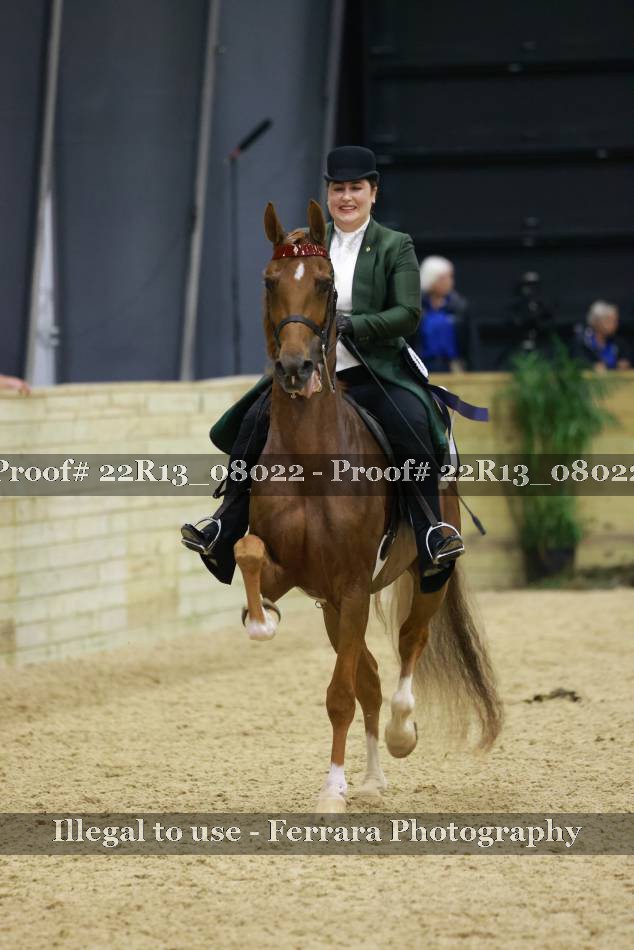 Proof 22R13_08022