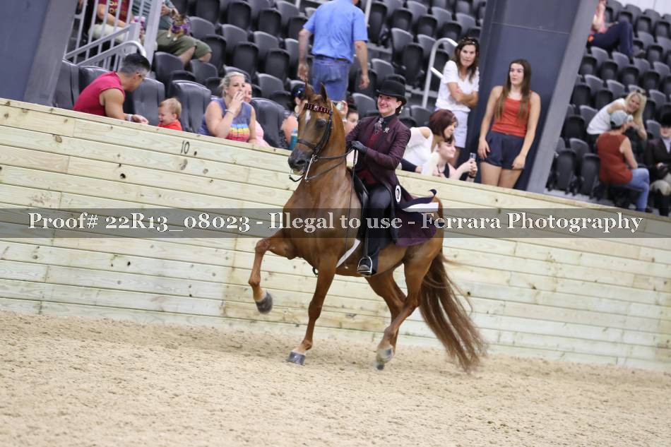 Proof 22R13_08023
