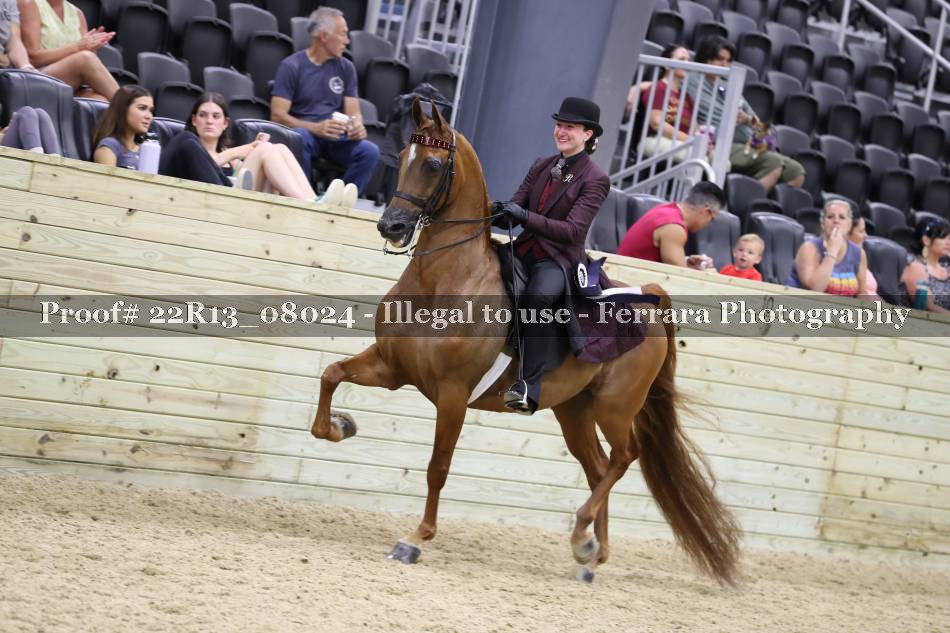 Proof 22R13_08024