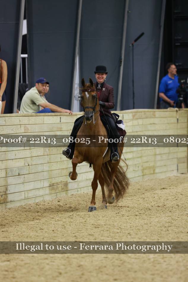Proof 22R13_08025