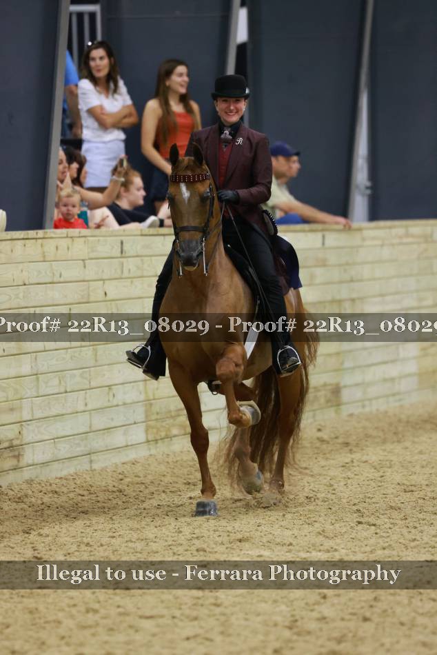Proof 22R13_08029