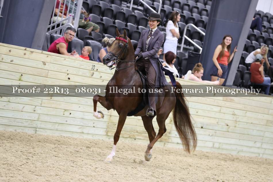 Proof 22R13_08031