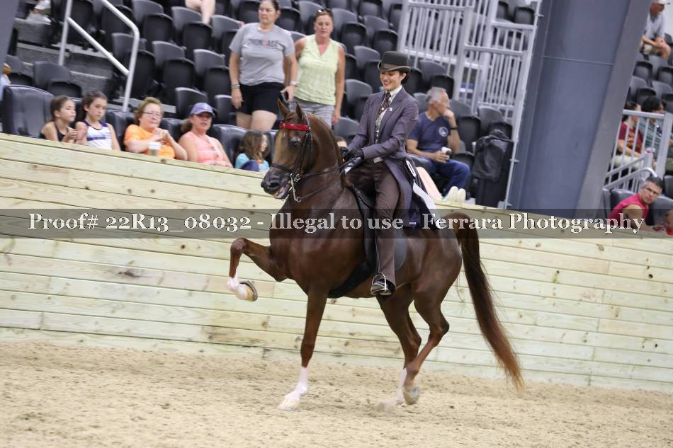 Proof 22R13_08032