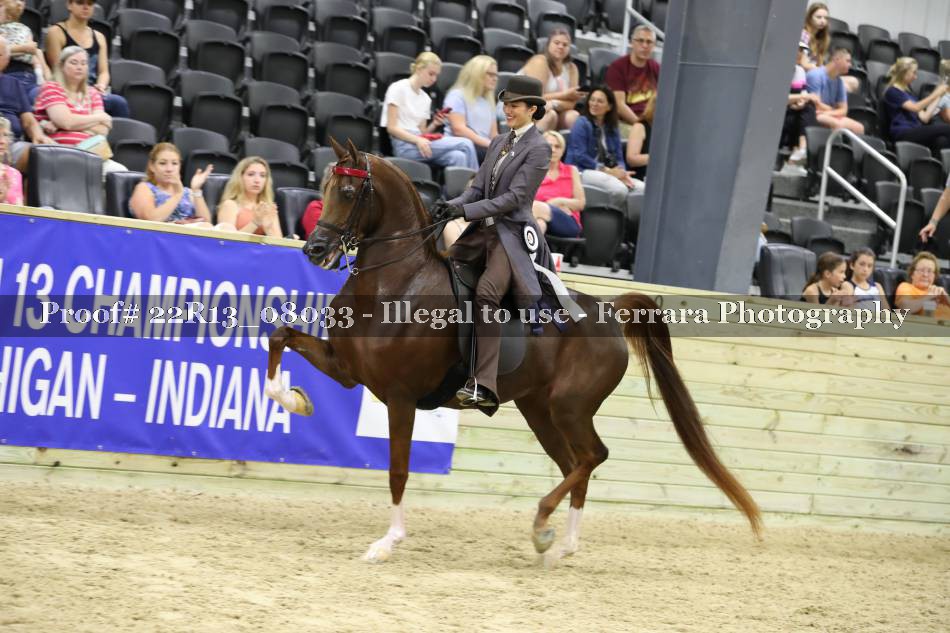 Proof 22R13_08033