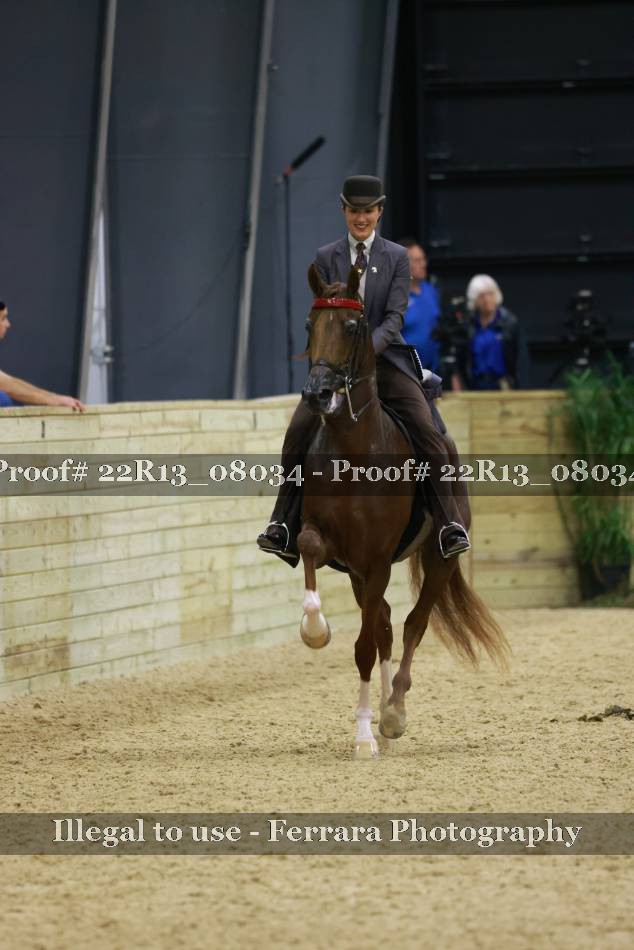 Proof 22R13_08034