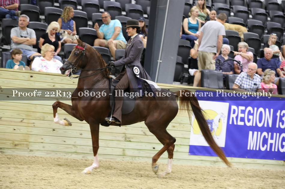Proof 22R13_08036