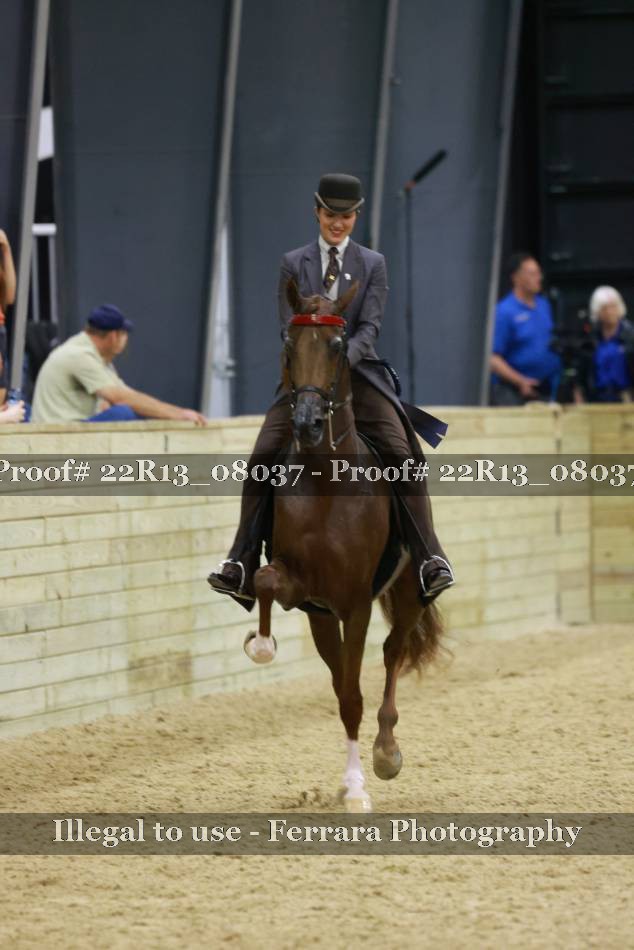 Proof 22R13_08037