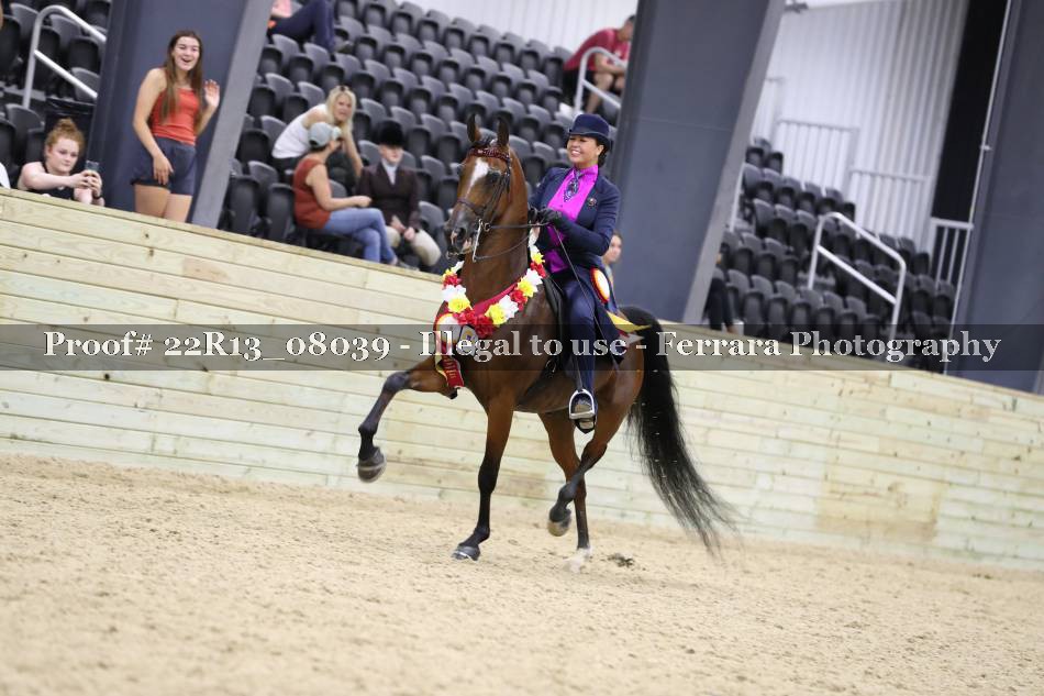 Proof 22R13_08039