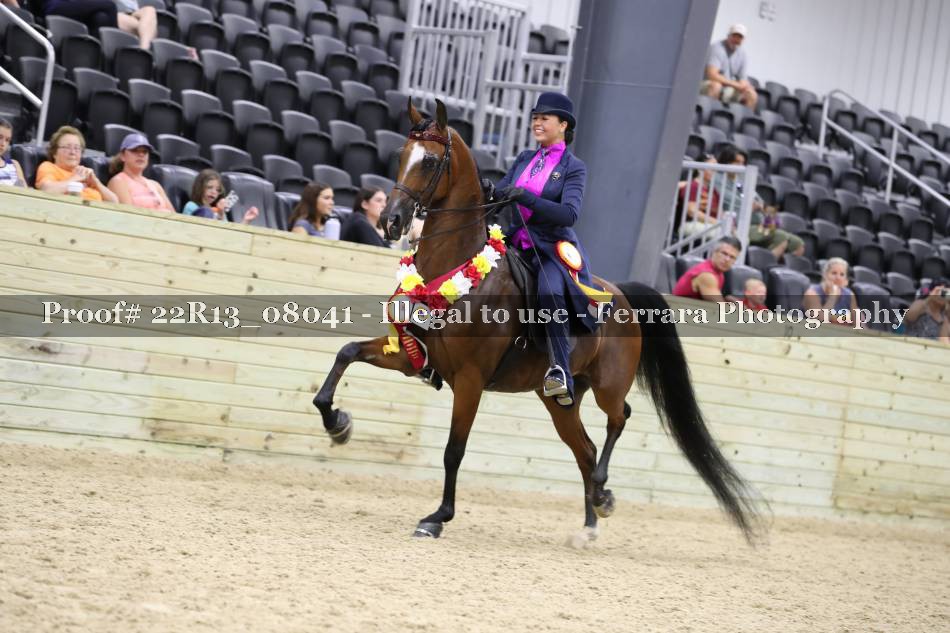 Proof 22R13_08041