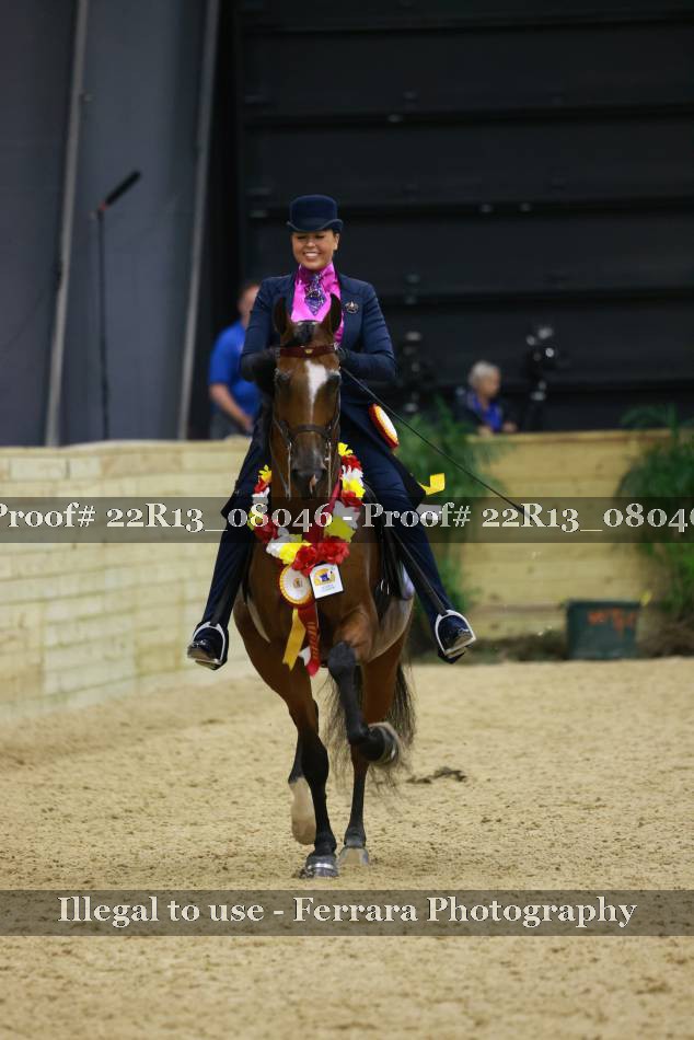 Proof 22R13_08046