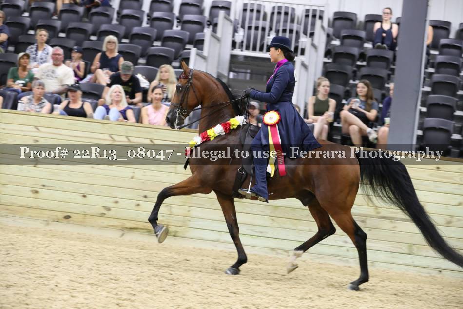 Proof 22R13_08047