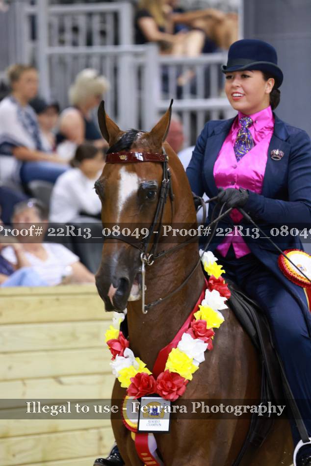 Proof 22R13_08049