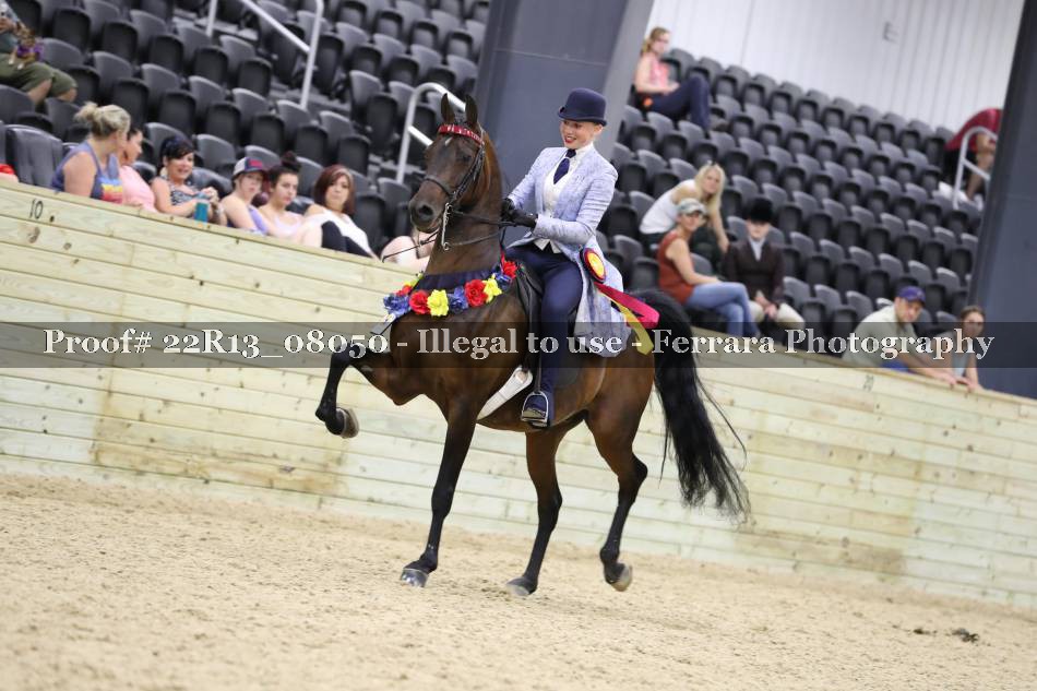 Proof 22R13_08050