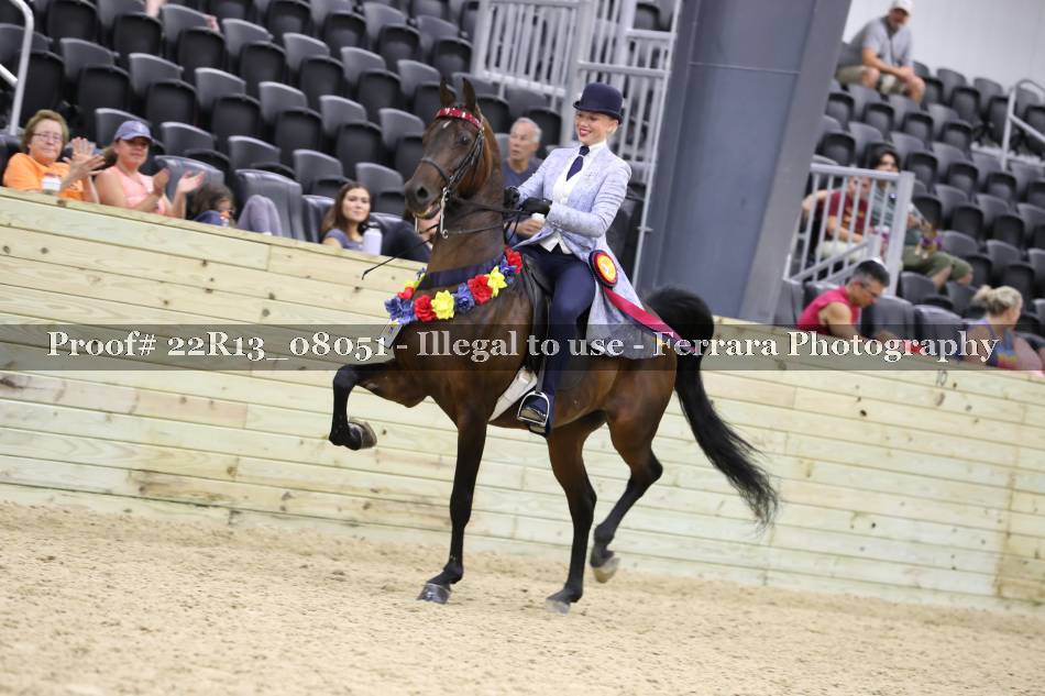 Proof 22R13_08051