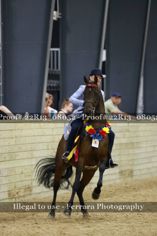 Proof 22R13_08052