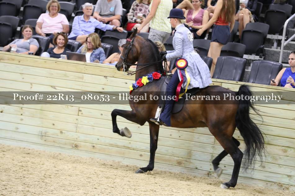 Proof 22R13_08053