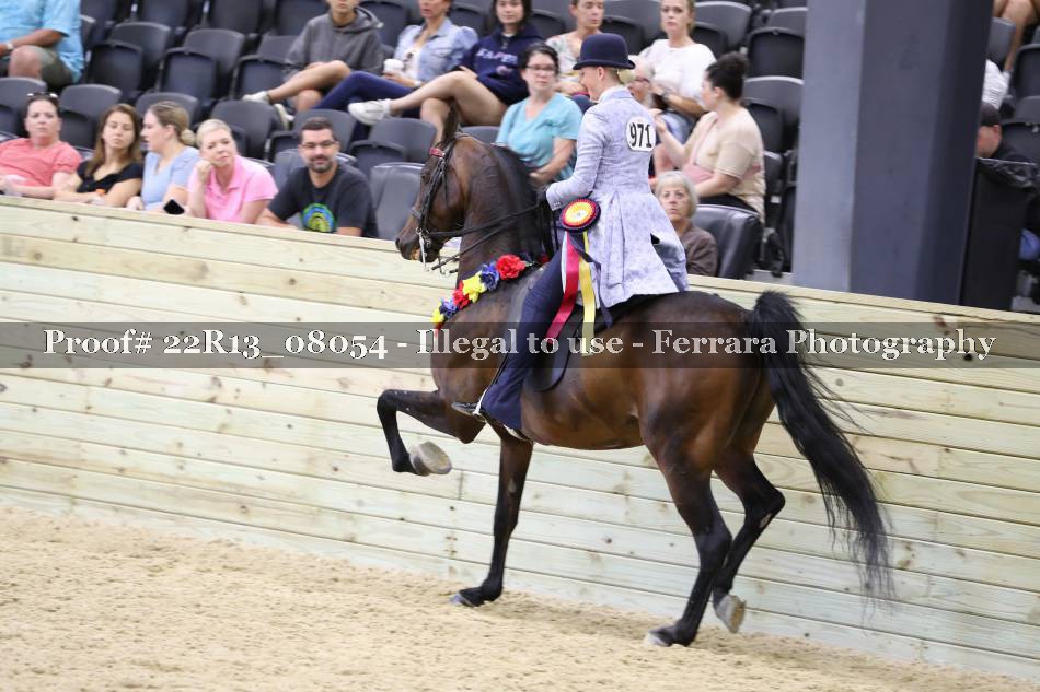 Proof 22R13_08054