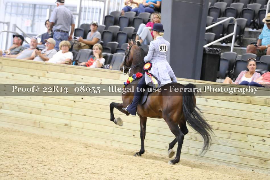 Proof 22R13_08055