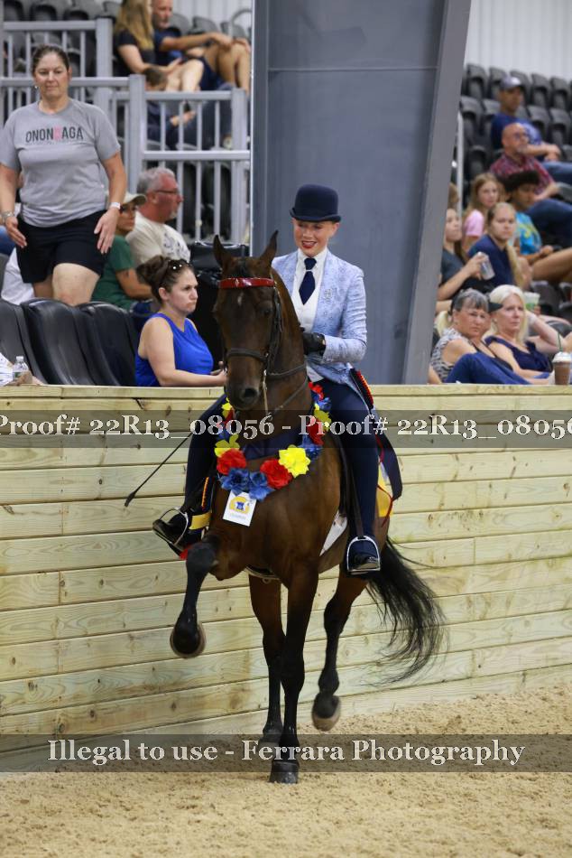 Proof 22R13_08056